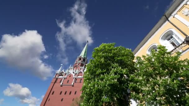 Troitskaya Turm Dreifaltigkeitsturm Gegen Den Himmel Inneren Des Moskauer Kreml — Stockvideo