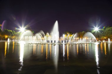 Gorki Park-Merkezi Kültür Park ve dinlenme--Çeşmesi, bir ana citysights ve Moskova, Rusya'nın landmark (gece) 