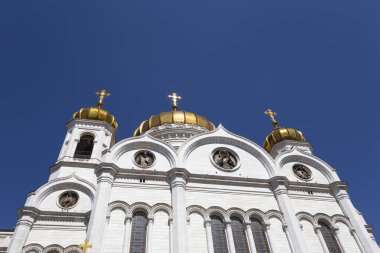 Kurtarıcı İsa Katedrali'nin görünümü (gün), Moskova, Rusya