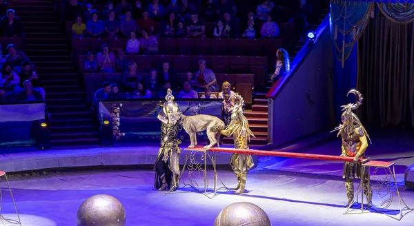 Moskou Rusland Juli 2019 Presentatie Show Moscow State Circus Big — Stockfoto