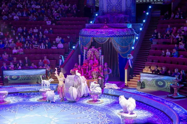 Moscow Rússia Julho 2019 Apresentação Mostrar Moscow State Circus Big — Fotografia de Stock