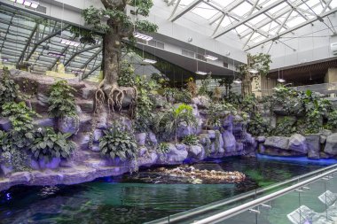 Moscow, Rusya Federasyonu Mayıs 29 2017: Oceanarium Crocus City iç, balık ve dünyanın her yerinden diğer hayvanların 5000 türleri üzerinde. Moscow, Rusya Federasyonu. 