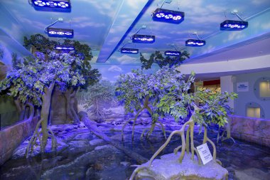 Moscow, Rusya Federasyonu Mayıs 29 2017: Oceanarium Crocus City iç, balık ve dünyanın her yerinden diğer hayvanların 5000 türleri üzerinde. Moscow, Rusya Federasyonu. 