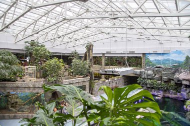 Moscow, Rusya Federasyonu Mayıs 29 2017: Oceanarium Crocus City iç, balık ve dünyanın her yerinden diğer hayvanların 5000 türleri üzerinde. Moscow, Rusya Federasyonu. 