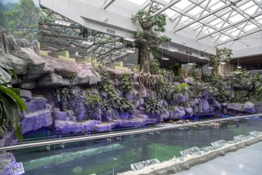 Moscow, Rusya Federasyonu Mayıs 29 2017: Oceanarium Crocus City iç, balık ve dünyanın her yerinden diğer hayvanların 5000 türleri üzerinde. Moscow, Rusya Federasyonu. 