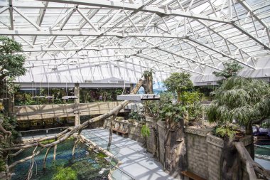 Moscow, Rusya Federasyonu Mayıs 29 2017: Oceanarium Crocus City iç, balık ve dünyanın her yerinden diğer hayvanların 5000 türleri üzerinde. Moscow, Rusya Federasyonu. 