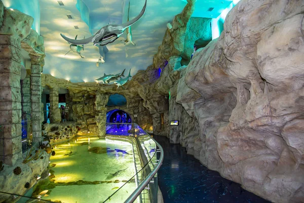 Moscow Rússia Julho 2018 Interior Oceanarium Crocus City Mais 5000 — Fotografia de Stock