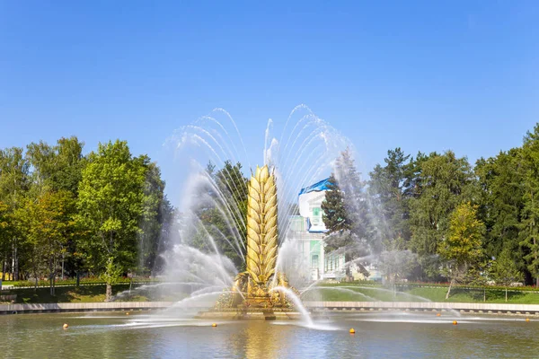 Vdnh parkında Kamensky gölet üzerinde Altın Başak çeşme. Vdnkh (ayrıca All-Russian Exhibition Center olarak da adlandırılır) Moskova, Rusya'da kalıcı bir genel amaçlı ticaret fuarı