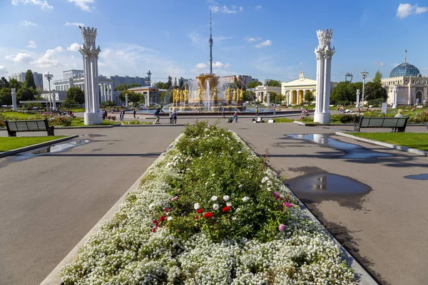 モスクワ ロシア 2019年8月23日 国家の噴水友好 1951 建築家K トプリゼとG コンスタンティノフスキーによる噴水のプロジェクト Vdnkh 全ロシア展示センター — ストック写真