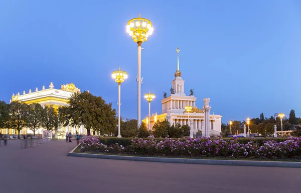 Vdnkh 全俄罗斯展览中心 也称为全俄罗斯展览中心 的地标 俄罗斯莫斯科 中央馆1号 — 图库照片