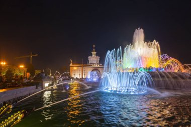 Moskova, Rusya - 30 Ağustos 2019: Çeşme Taşı Çiçeği Moskova'daki Vdnkh'te. Vdnkh (ayrıca All-Russian Exhibition Center olarak da adlandırılır) Moskova, Rusya'da kalıcı bir genel amaçlı ticaret fuarı   