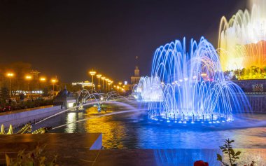 Moskova, Rusya - 30 Ağustos 2019: Çeşme Taşı Çiçeği Moskova'daki Vdnkh'te. Vdnkh (ayrıca All-Russian Exhibition Center olarak da adlandırılır) Moskova, Rusya'da kalıcı bir genel amaçlı ticaret fuarı   