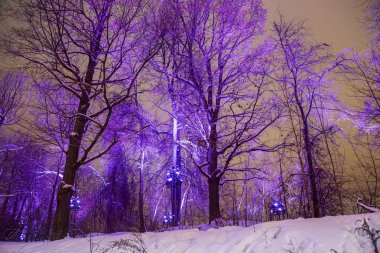 Moskova'da Noel (Yeni Yıl tatili) dekorasyon (gece), Rusya- Sparrow Hills (Vorobyovy Gory) 