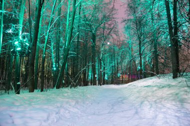 Moskova'da Noel (Yeni Yıl tatili) dekorasyon (gece), Rusya- Sparrow Hills (Vorobyovy Gory) 