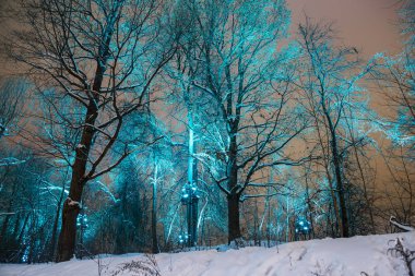 Moskova'da Noel (Yeni Yıl tatili) dekorasyon (gece), Rusya- Sparrow Hills (Vorobyovy Gory) 