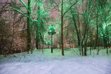 Moskova'da Noel (Yeni Yıl tatili) dekorasyon (gece), Rusya- Sparrow Hills (Vorobyovy Gory) 