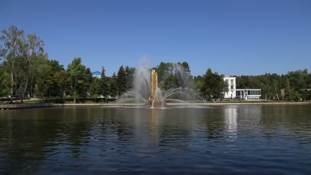 モスクワ ロシア 8月23 2019 Vdnh公園のKamensky池のゴールデンスパイク噴水 Vdnkh 全ロシア展示センターとも呼ばれる モスクワ ロシアの恒久的な汎用展示会です — ストック動画