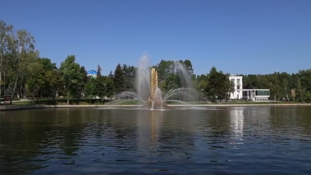 Moscú Rusia Agosto 2019 Fuente Golden Spike Estanque Kamensky Parque — Vídeos de Stock