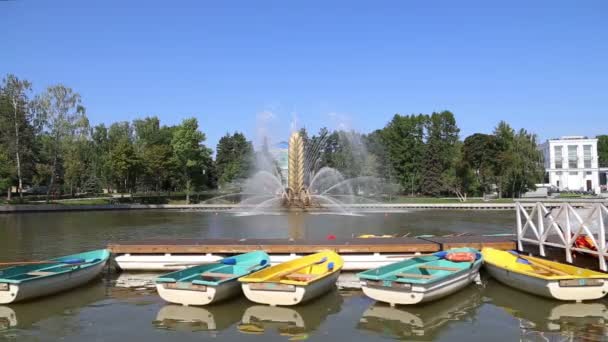 Moscow Rússia Agosto 2019 Fonte Golden Spike Lagoa Kamensky Parque — Vídeo de Stock