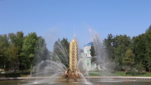 Moscú Rusia Agosto 2019 Fuente Golden Spike Estanque Kamensky Parque — Vídeos de Stock