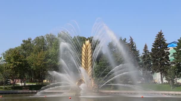 モスクワ ロシア 2019年8月23日 ロシアのモスクワのVdnkh公園で展示された宇宙船ボストーク 最初のソ連ロケットの記念碑 Vdnhは 大都市公園 エキシビションセンター 遊園地 人気の観光名所です — ストック動画