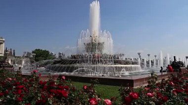 Çeşme VDKNh Moskova'da taş çiçeklere. Kalıcı bir genel amaçlı fuar, Moskova, Rusya (tüm Rusya Fuar alanı olarak da adlandırılır) VDKNh olduğunu 