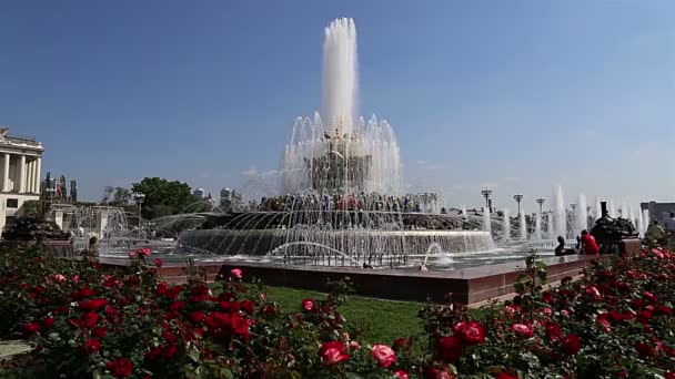 喷泉在 Vdnkh 在莫斯科的石花 Vdnkh 也称全俄展览中心 是永久通用贸易展在莫斯科 俄罗斯 — 图库视频影像