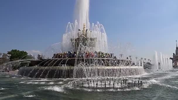 Brunnen Steinblume Bei Vdnkh Moskau Vdnkh Auch Gesamtrussisches Ausstellungszentrum Genannt — Stockvideo