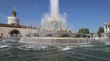 Moskova, Rusya - 23 Ağustos 2019: Moskova, Vdnkh 'da Çeşme Taş Çiçeği. Vdnkh (ayrıca All-Russian Exhibition Center olarak da bilinir), Rusya 'nın başkenti Moskova' da yer alan bir ticaret fuarıdır. 