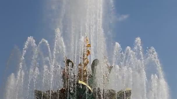 Fountain Stone Flower Vdnkh Moscou Vdnkh Também Chamado All Russian — Vídeo de Stock