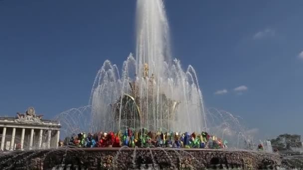 Fuente Flor Piedra Vdnkh Moscú Vdnkh También Llamado All Russian — Vídeos de Stock