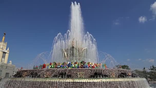 Fontana Fiore Pietra Vdnkh Mosca Vdnkh Chiamato Anche All Russian — Video Stock