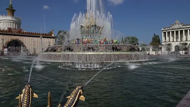 モスクワ ロシア 2019年8月23日 モスクワのVdnkhで噴水石の花 Vdnkh 全ロシア展示センターとも呼ばれる モスクワ ロシアの恒久的な汎用展示会です — ストック動画