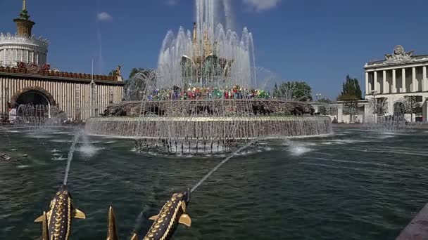 Moskou Rusland Augustus 2019 Fontein Steenbloem Bij Vdnkh Moskou Vdnkh — Stockvideo