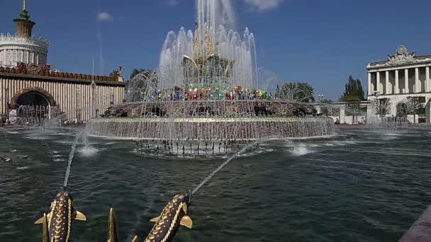 Mosca Russia Agosto 2019 Fontana Fiore Pietra Vdnkh Mosca Vdnkh — Video Stock