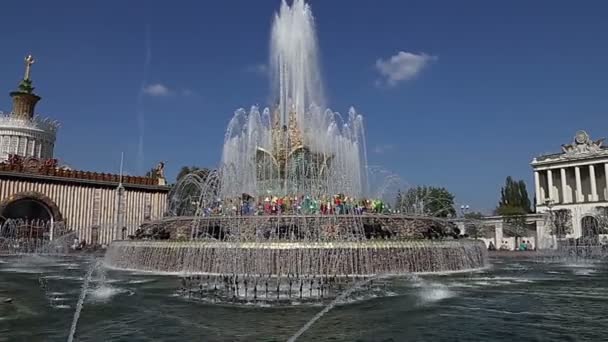 Mosca Russia Agosto 2019 Fontana Fiore Pietra Vdnkh Mosca Vdnkh — Video Stock