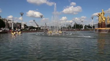 Moskova, Rusya - 23 Ağustos 2019: Milletlerin Çeşme Dostluğu(1951-54, Mimarlar K. Topuridze ve G. Konstantinovsky tarafından çeşme projesi) - Vdnkh (All-Russia Exhibition Centre), Moskova, Rusya 