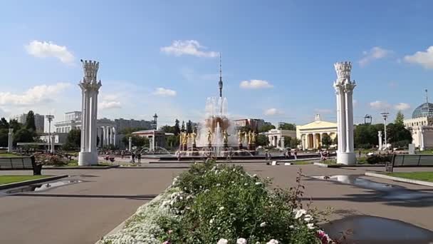 Moscú Rusia Agosto 2019 Fountain Friendship Nations 1951 Project Fountain — Vídeos de Stock