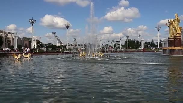 モスクワ ロシア 2019年8月23日 国家の噴水友好 1951 建築家K トプリゼとG コンスタンティノフスキーによる噴水のプロジェクト Vdnkh 全ロシア展示センター — ストック動画