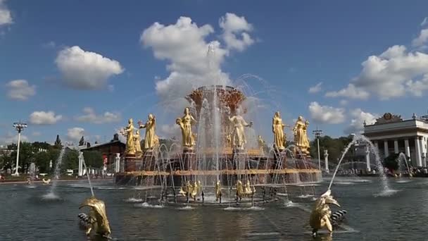 モスクワ ロシア 2019年8月23日 国家の噴水友好 1951 建築家K トプリゼとG コンスタンティノフスキーによる噴水のプロジェクト Vdnkh 全ロシア展示センター — ストック動画