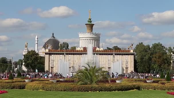 Moskou Rusland Augustus 2019 Bezienswaardigheden Het Grondgebied Van Vdnkh All — Stockvideo