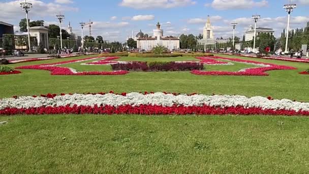 Moskau Russland August 2019 Sehenswürdigkeiten Auf Dem Gebiet Von Vdnkh — Stockvideo