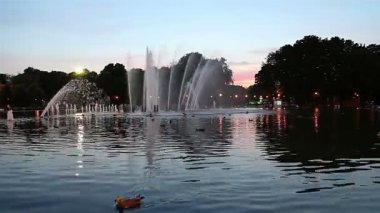 Gorky Park 'taki Dans Çeşmesinin Renkli Işıkları (gece), Moskova, Rusya 
