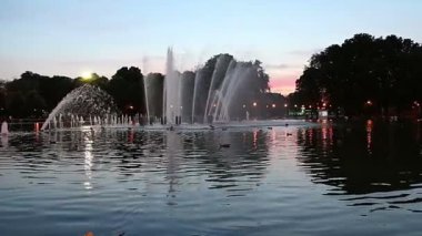 Gorky Park 'taki Dans Çeşmesinin Renkli Işıkları (gece), Moskova, Rusya 