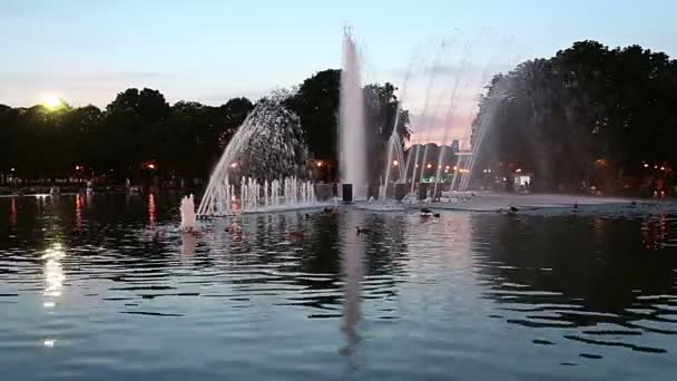 Luces Coloridas Fuente Que Baila Gorky Park Por Noche Moscú — Vídeo de stock