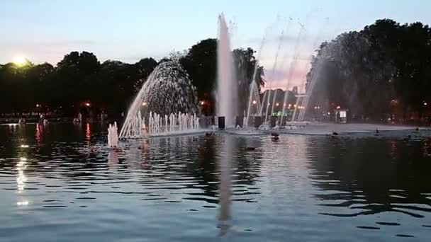 Luces Coloridas Fuente Que Baila Gorky Park Por Noche Moscú — Vídeos de Stock