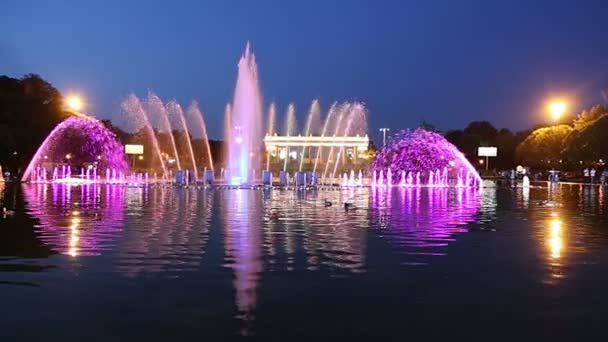 Moscú Rusia Septiembre 2019 Luces Coloridas Fuente Baile Gorky Park — Vídeos de Stock