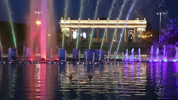 Moscow Rússia Setembro 2019 Luzes Coloridas Fonte Dança Gorky Park — Vídeo de Stock