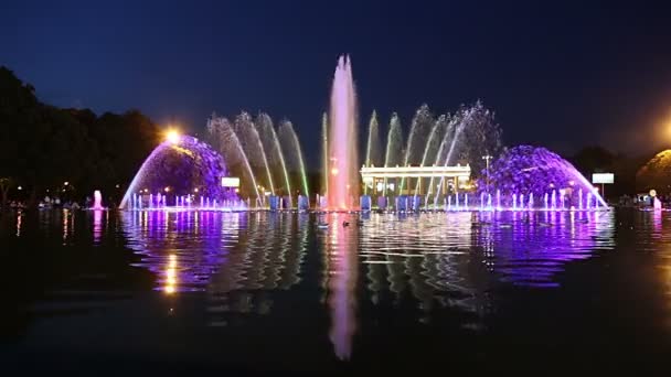 Luces Coloridas Fuente Que Baila Gorky Park Por Noche Moscú — Vídeos de Stock