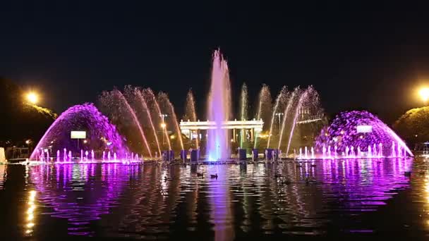 Gorky Park Taki Dans Çeşmesinin Renkli Işıkları Gece Moskova Rusya — Stok video